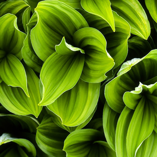 Hd-142354-ascw142354