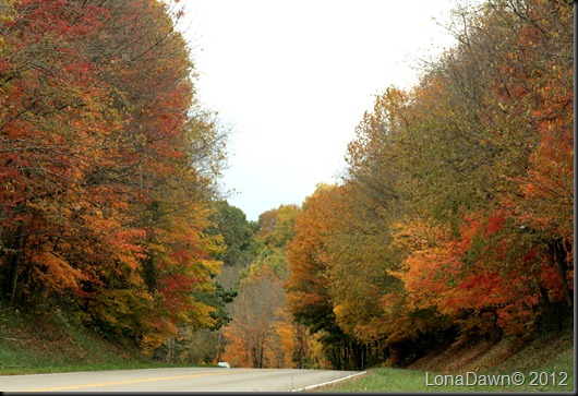 Knollwood_33_2012