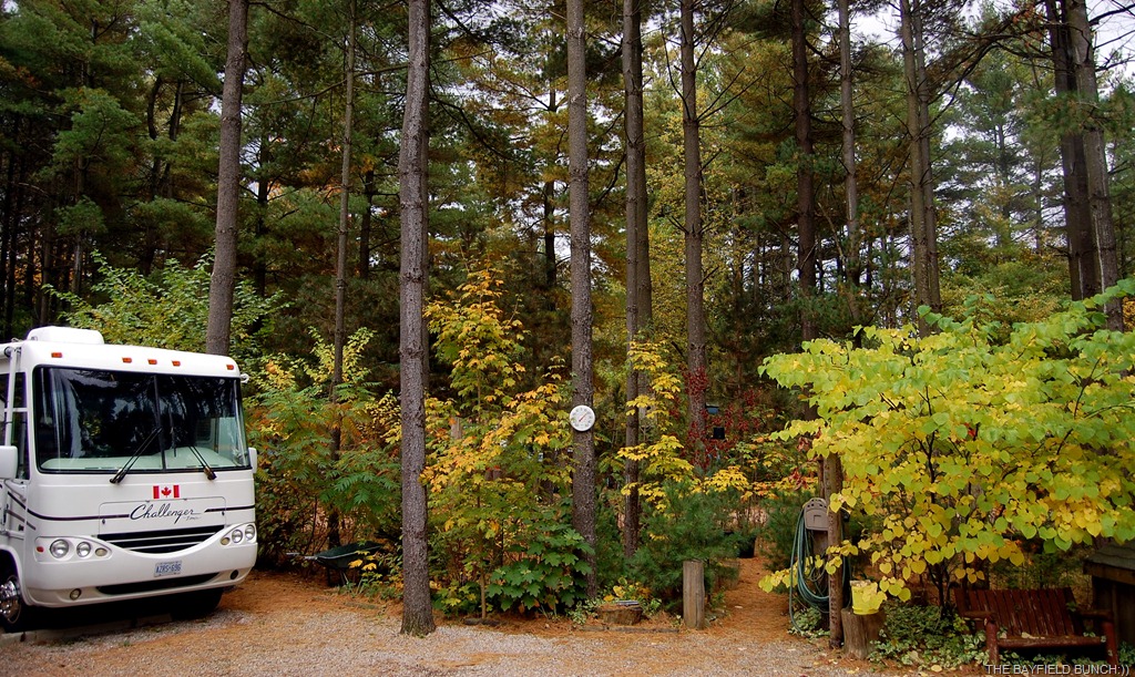 [DSC_8776%255B4%255D.jpg]