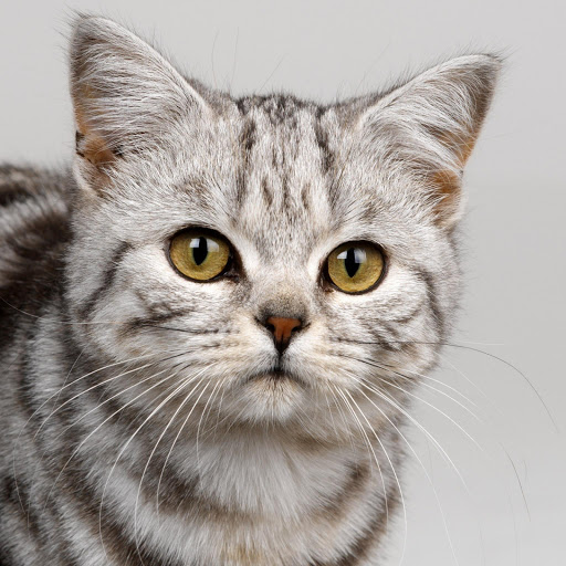 Hd-133597-ascw133597