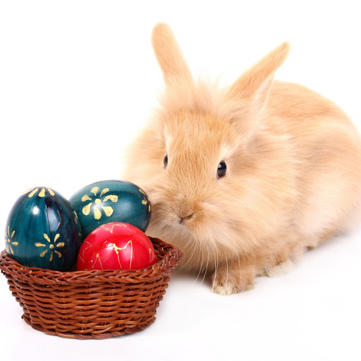 Hd-132880-ascw132880