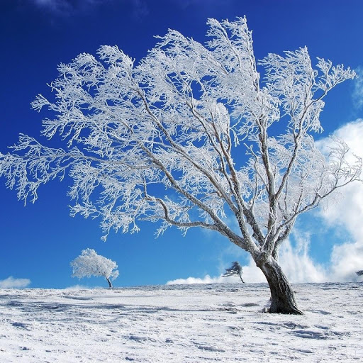 Hd-168404-ascw168404