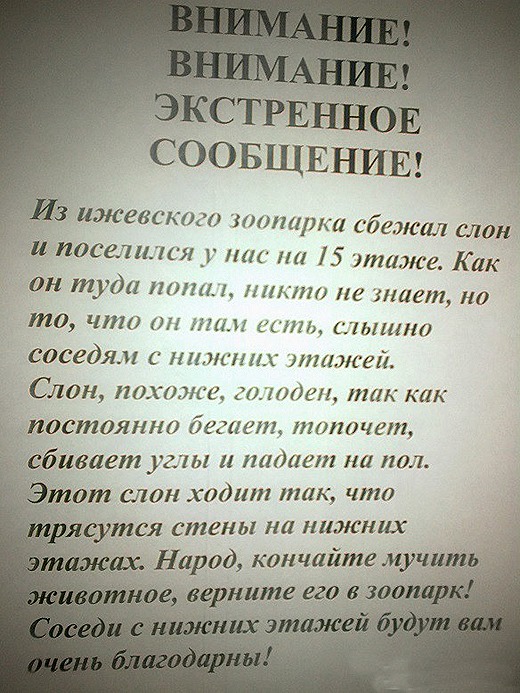 [2463403%255B7%255D.jpg]