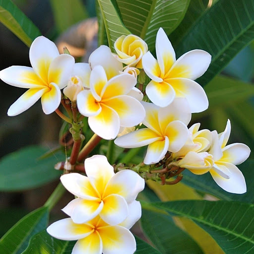 Hd-183344-ascw183344