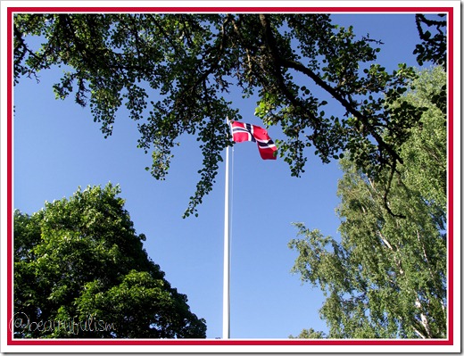 norwegian flag