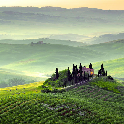 Hd-173264-ascw173264