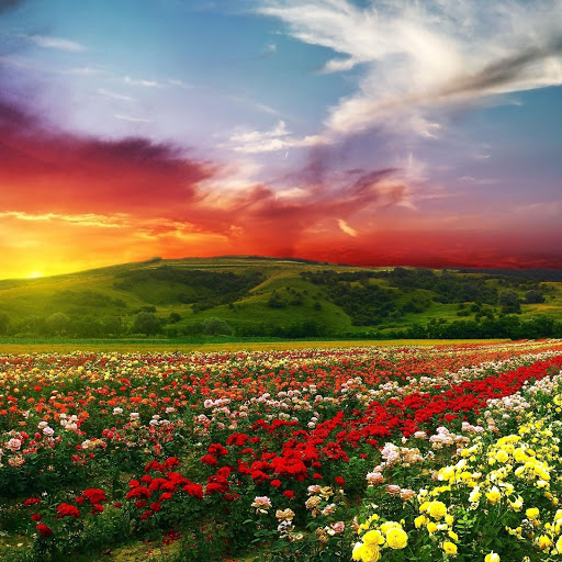 Hd-163517-ascw163517