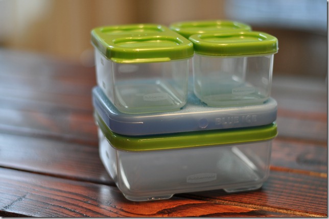 Rubbermaid LunchBlox Sandwich Kit Review — Decor and the Dog