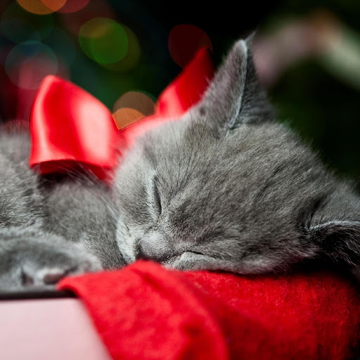 Hd-150762-ascw150762