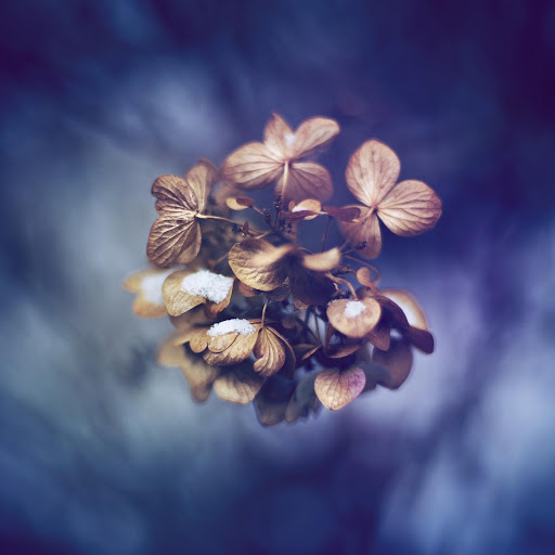 Hd-167919-ascw167919