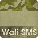 瓦力短信迷彩主题 logo