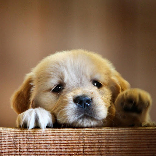 Hd-134674-ascw134674