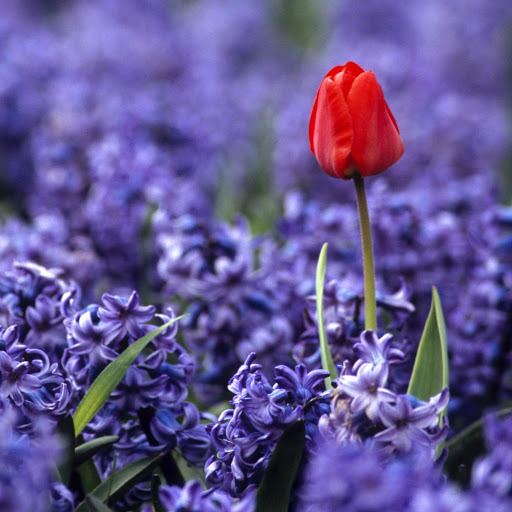 Hd-143944-ascw143944