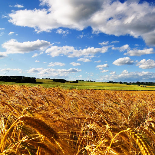 Hd-145870-ascw145870