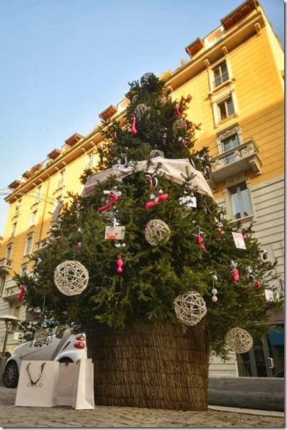 italy-christmas tree