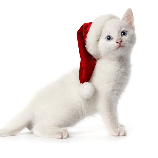 Hd-143812-ascw143812