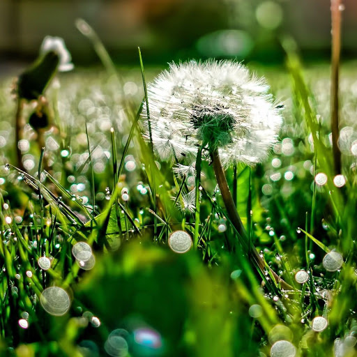 Hd-142594-ascw142594