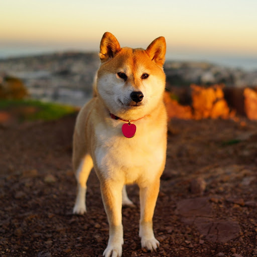 Hd-180682-ascw180682