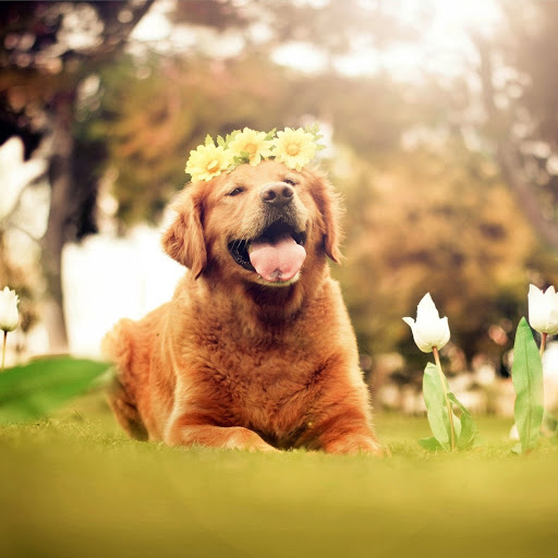 Hd-137856-ascw137856