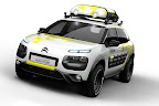 2014 Citroën C4 Cactus Aventure Concept 