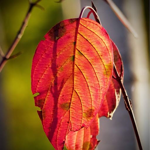 Hd-152638-ascw152638