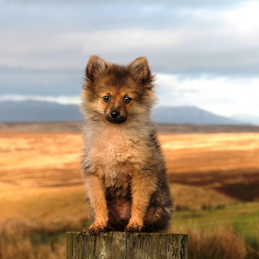 Hd-147557-ascw147557