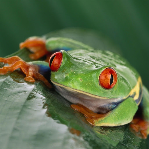 Hd-147710-ascw147710