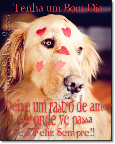Imagem para face Tenha um bom dia Foto de cachorro com 