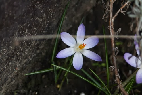 20100310 (1) (Large)