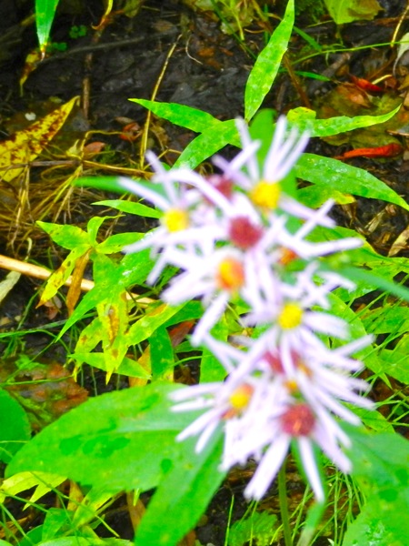 DSCN0317.JPG DSCN0317