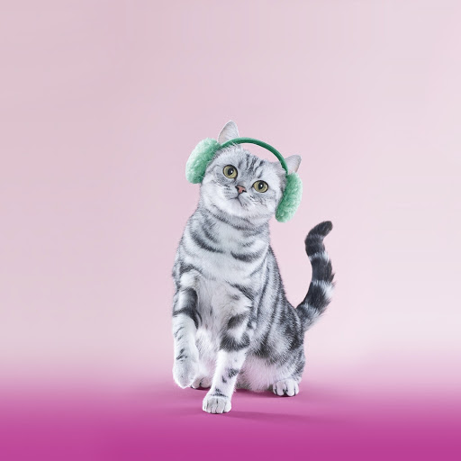 Hd-162957-ascw162957