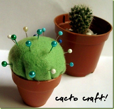 cactus porta aghi