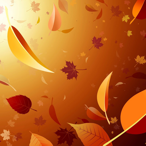 Hd-180170-ascw180170