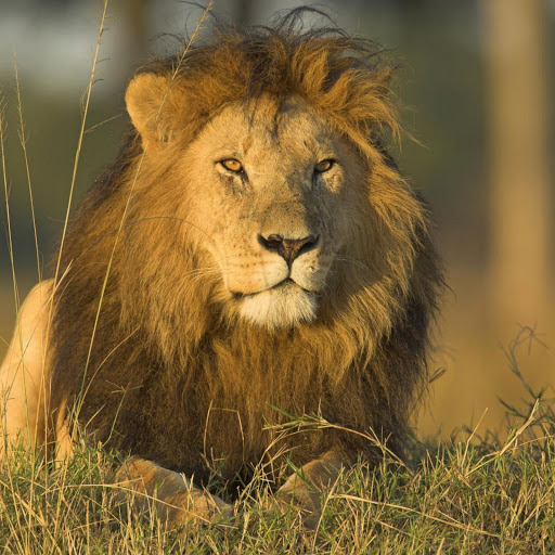 Hd-161138-ascw161138