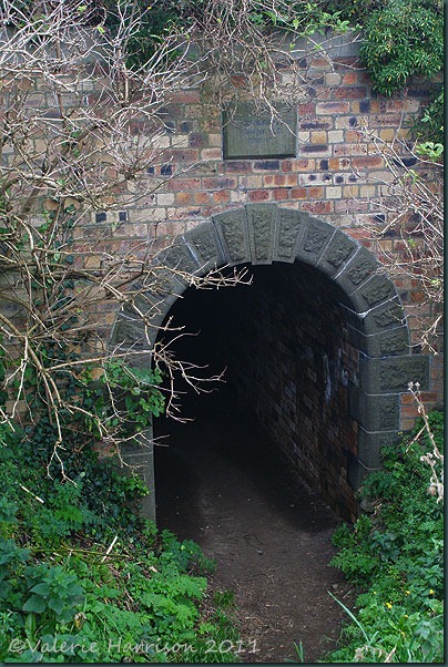 40-tunnel