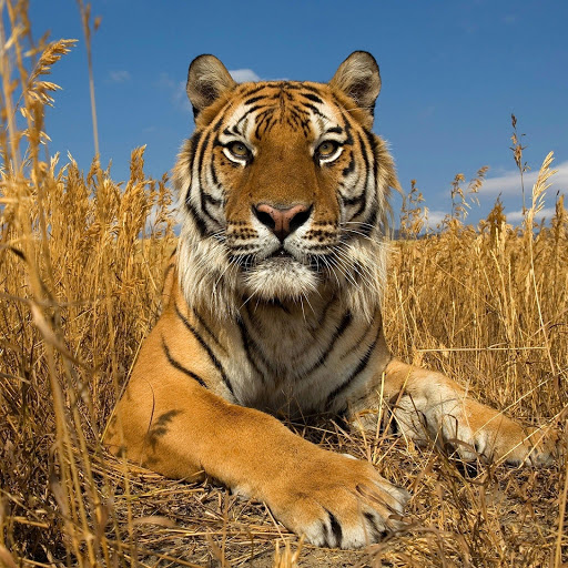 Hd-176798-ascw176798