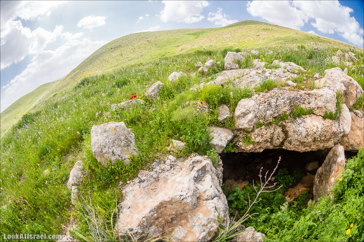 LookAtIsrael.com - Ручей (нахаль) Талкид | Nahal Talkid | נחל תלקיד