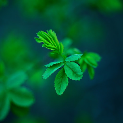 Hd-164471-ascw164471