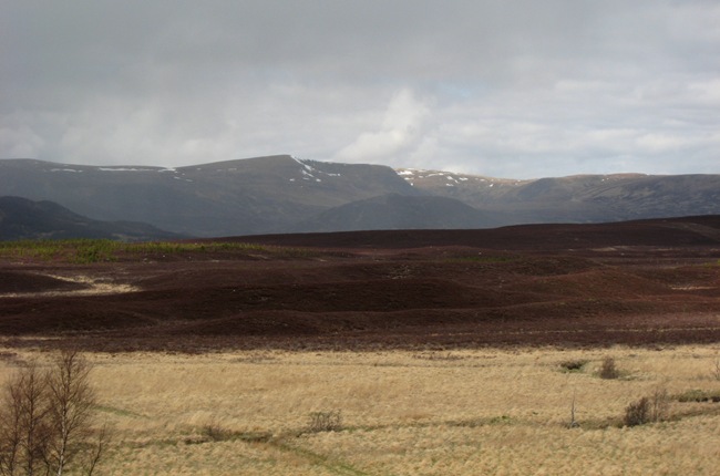 MONADHLIATH FROM WADE'S ROAD