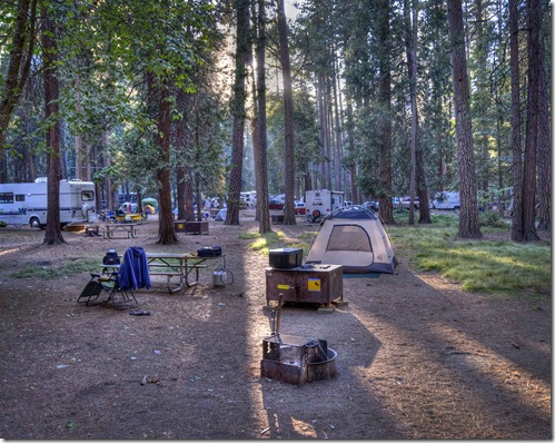 North Pines Campsite