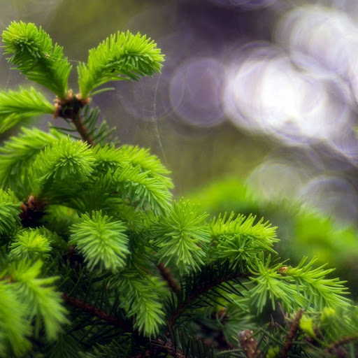 Hd-140600-ascw140600