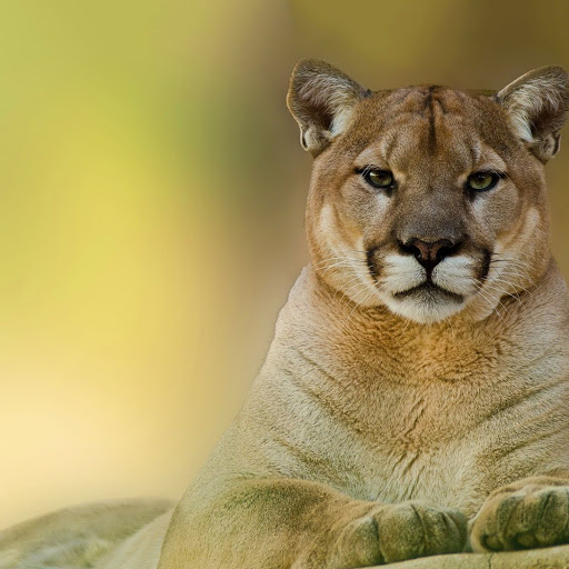 Hd-149764-ascw149764