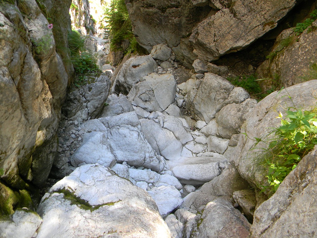 [DSCN15113.jpg]