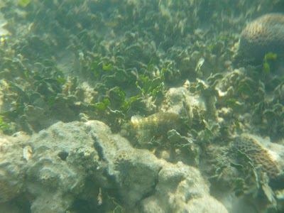 P1050259.JPG
