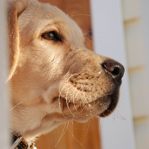 Hd-146514-ascw146514