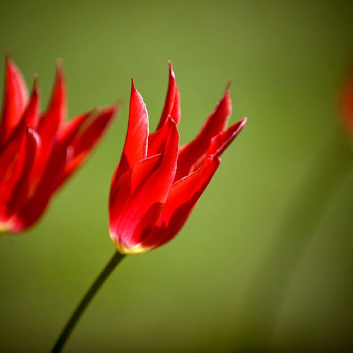 Hd-138026-ascw138026