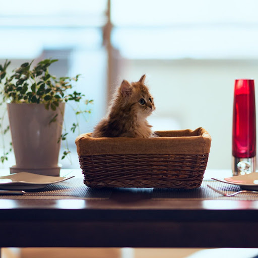 Hd-139956-ascw139956