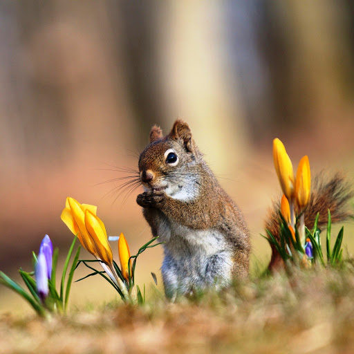 Hd-142102-ascw142102