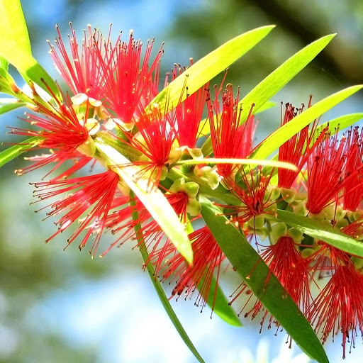 Hd-165238-ascw165238