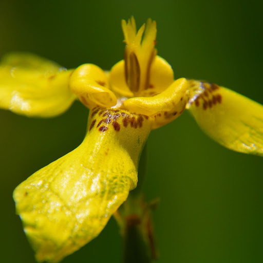 Hd-156051-ascw156051